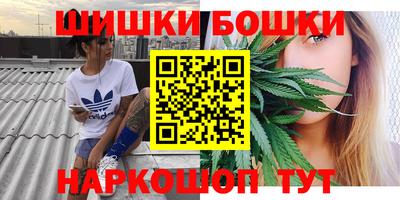 хмурый Бердск