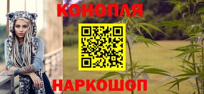 хмурый Бердск