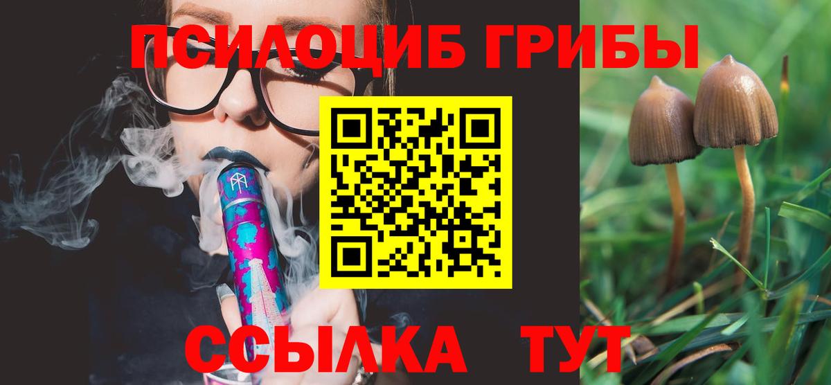 Псилоцибиновые грибы Magic Shrooms  Вход с VPN  Бор 